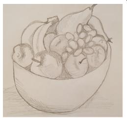 Fruit
